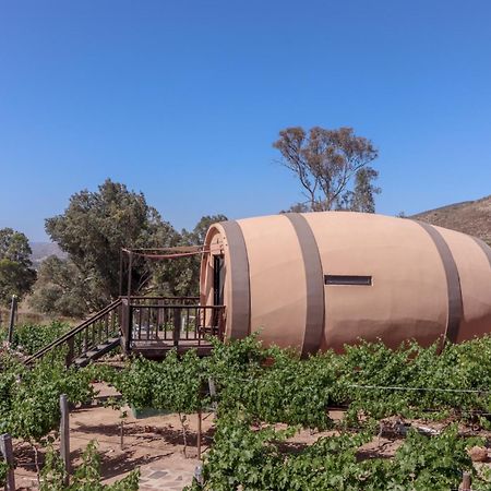 Finca El Mirador Valle de Guadalupe Ngoại thất bức ảnh