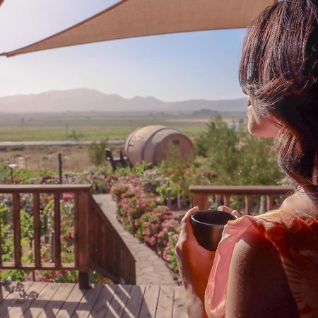 Finca El Mirador Valle de Guadalupe Ngoại thất bức ảnh