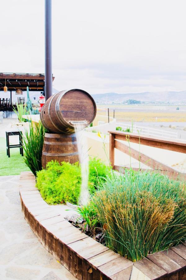 Finca El Mirador Hotel Valle de Guadalupe Ngoại thất bức ảnh