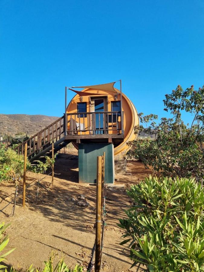 Finca El Mirador Hotel Valle de Guadalupe Ngoại thất bức ảnh