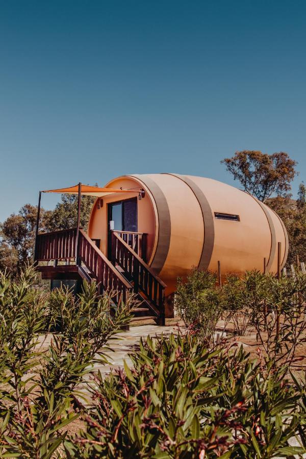 Finca El Mirador Valle de Guadalupe Ngoại thất bức ảnh