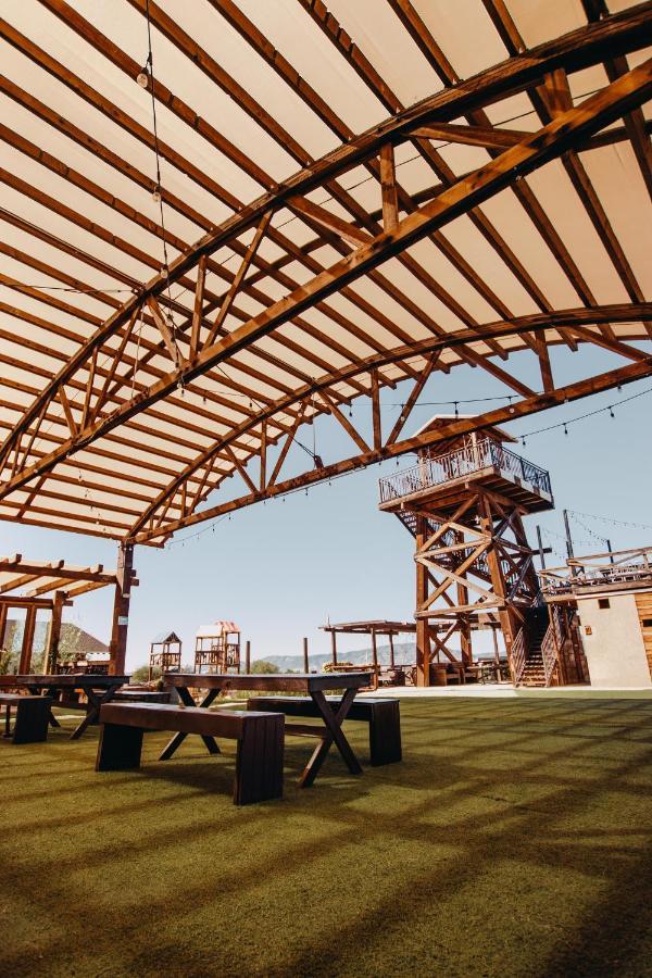 Finca El Mirador Valle de Guadalupe Ngoại thất bức ảnh