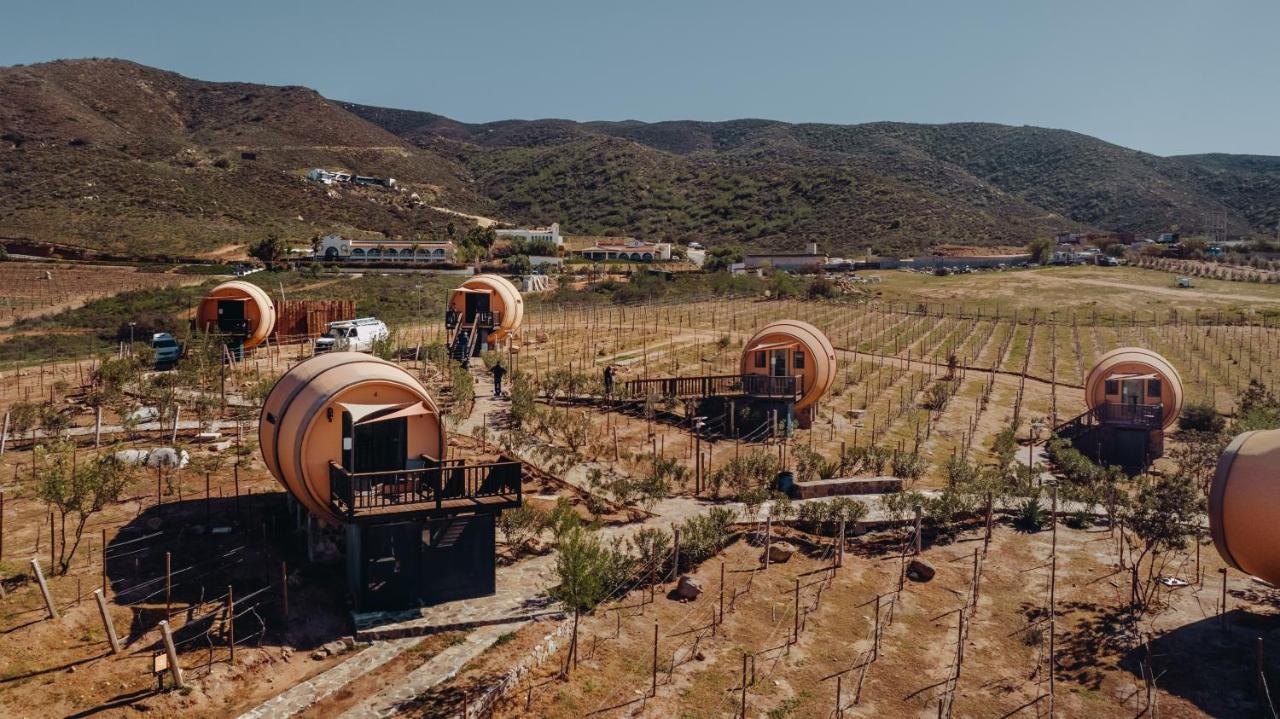 Finca El Mirador Hotel Valle de Guadalupe Ngoại thất bức ảnh