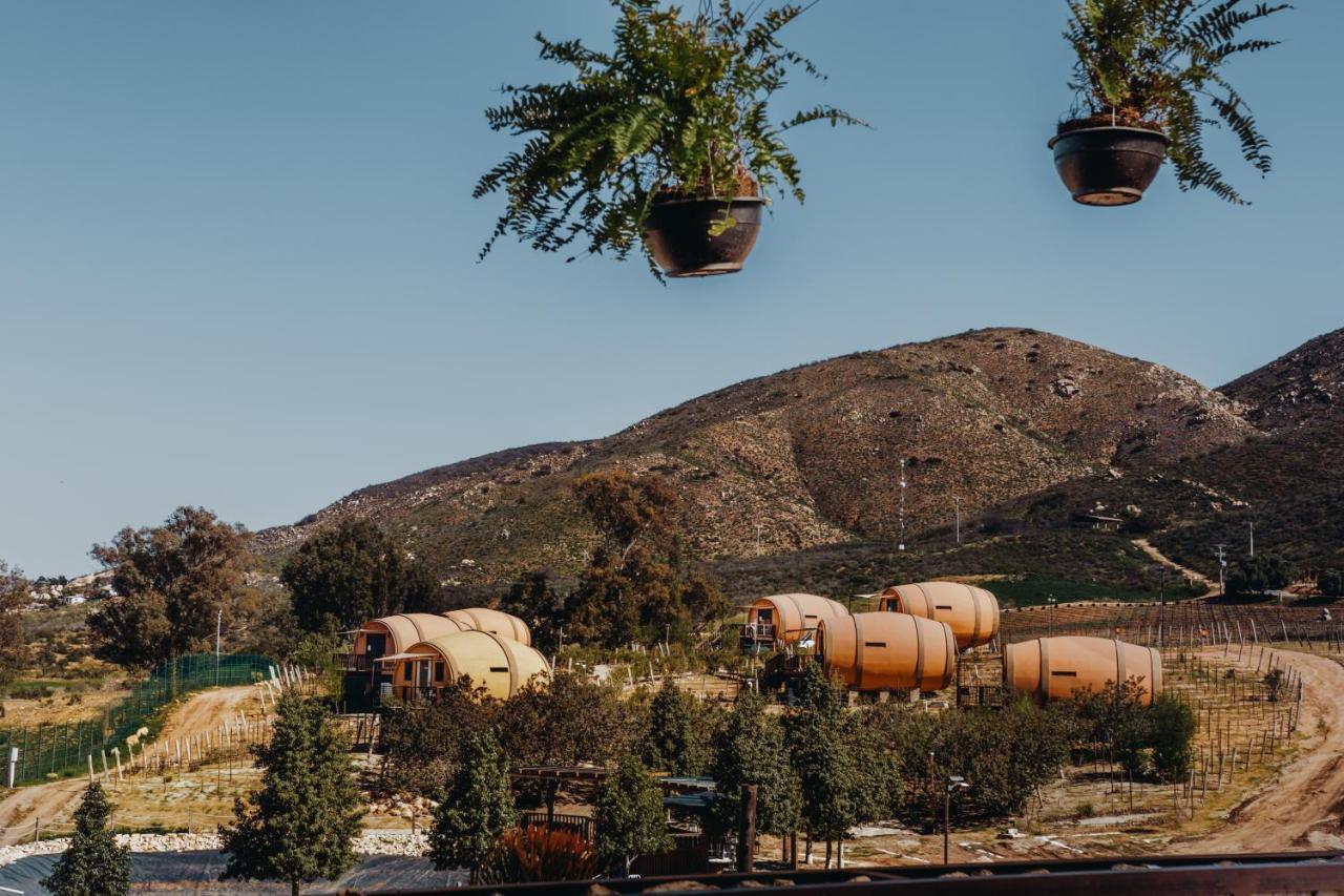 Finca El Mirador Valle de Guadalupe Ngoại thất bức ảnh