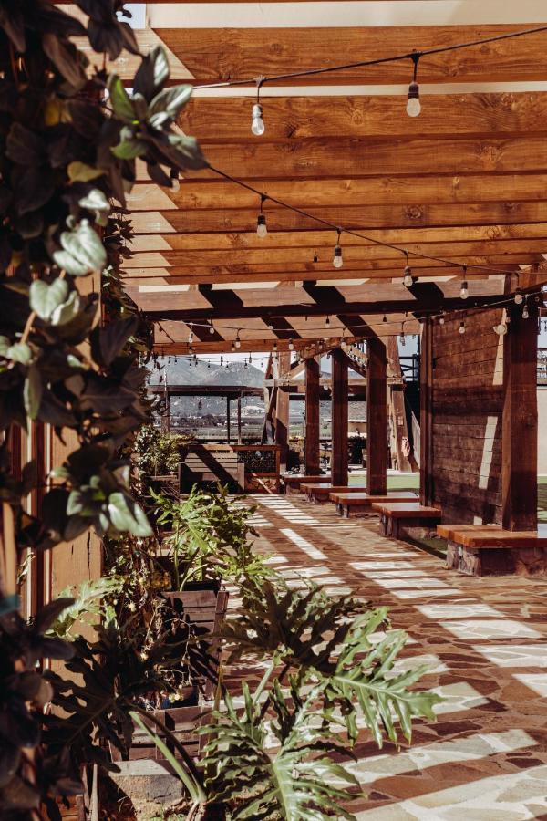 Finca El Mirador Valle de Guadalupe Ngoại thất bức ảnh