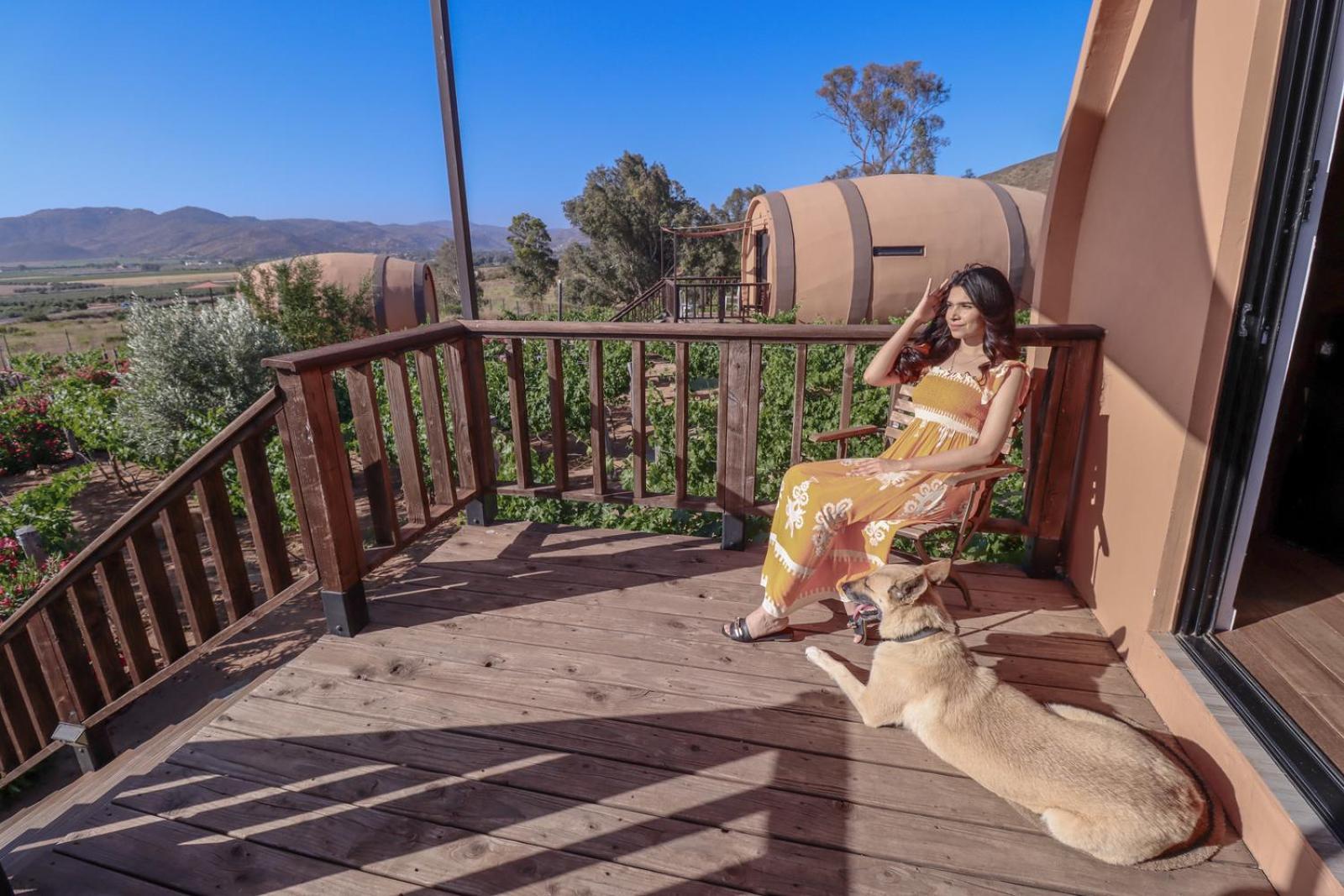 Finca El Mirador Valle de Guadalupe Ngoại thất bức ảnh