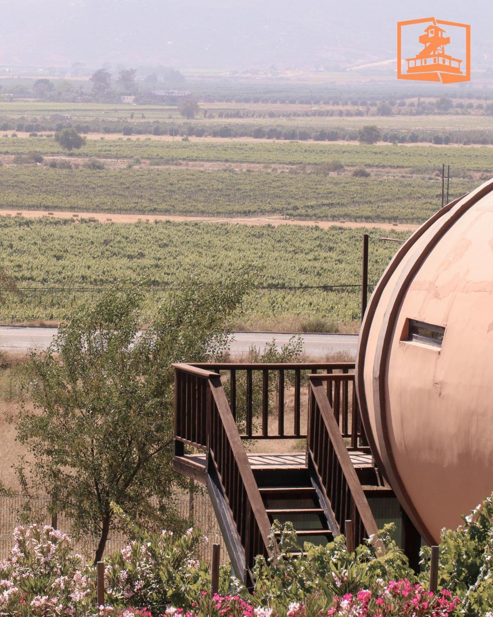 Finca El Mirador Valle de Guadalupe Ngoại thất bức ảnh